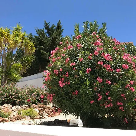 Corniche, Privee, 4 Suites, Vue Mer, Piscine Au Sel, Chauffee Et Couverte Villa *